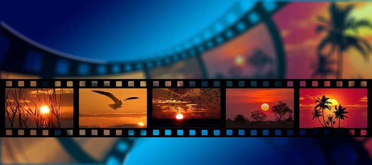 film distribution rights